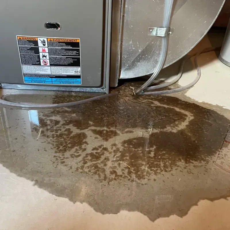 Appliance Leak Cleanup in Cowarts, AL